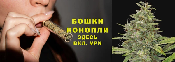 дмт Нея