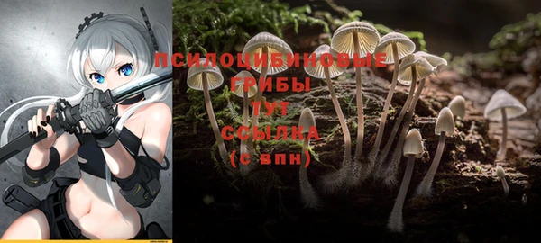 mdma Нефтекумск