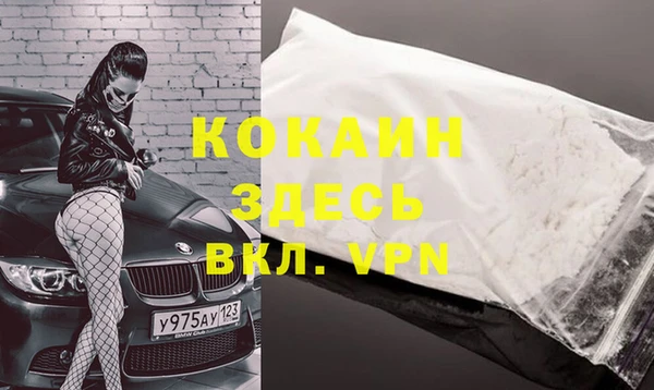 дмт Нея