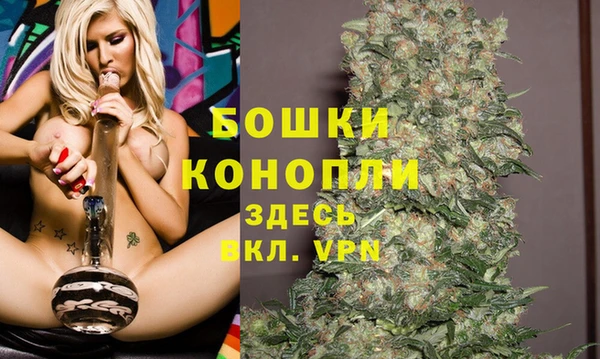 дмт Нея