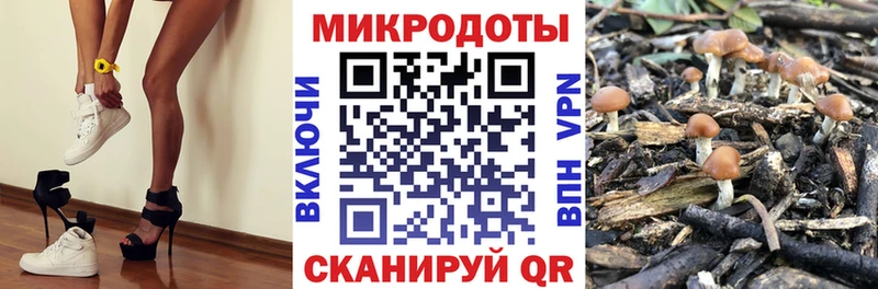 Галлюциногенные грибы Psilocybe цена наркотик Баксан