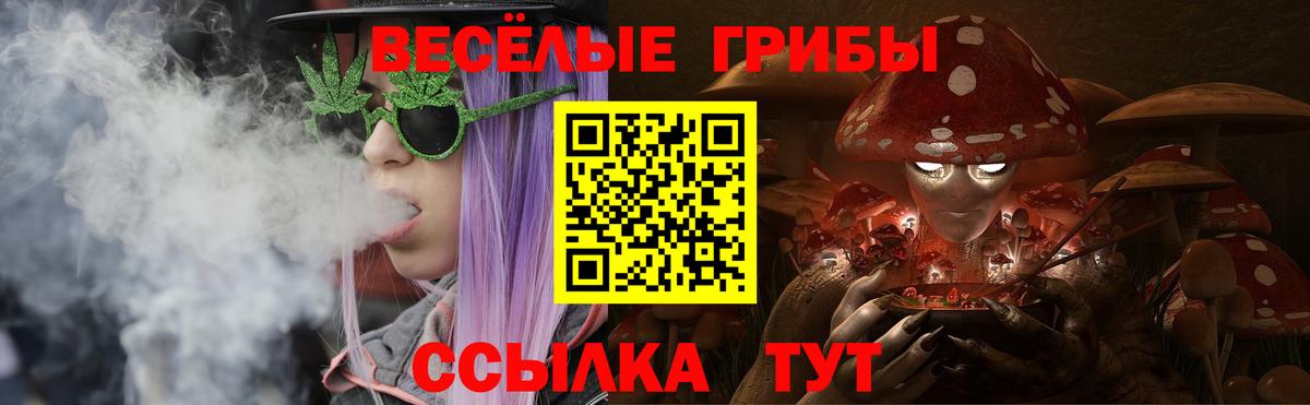 Галлюциногенные грибы Psilocybine cubensis Баксан